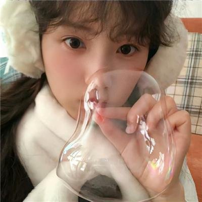 鸟,孤儿和愚人